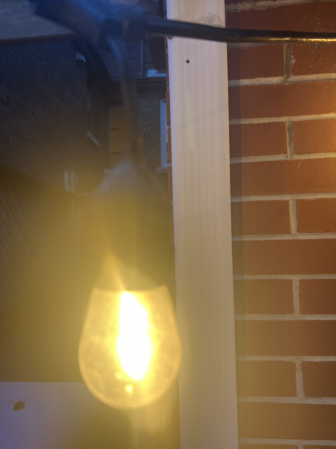 Outdoor Edison bulbs 100 yard - photo 2