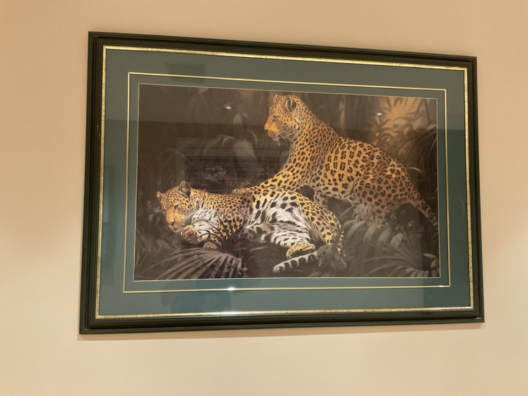 Leopards Picture Large thumbnail
