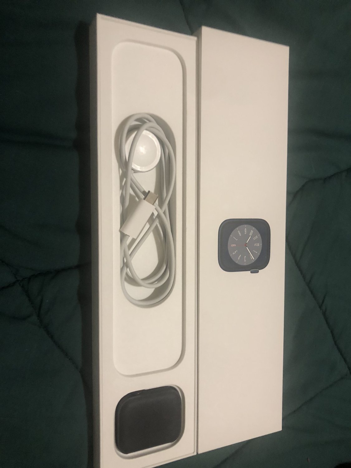 Apple Watch 45mm series 8 image indicator(3)