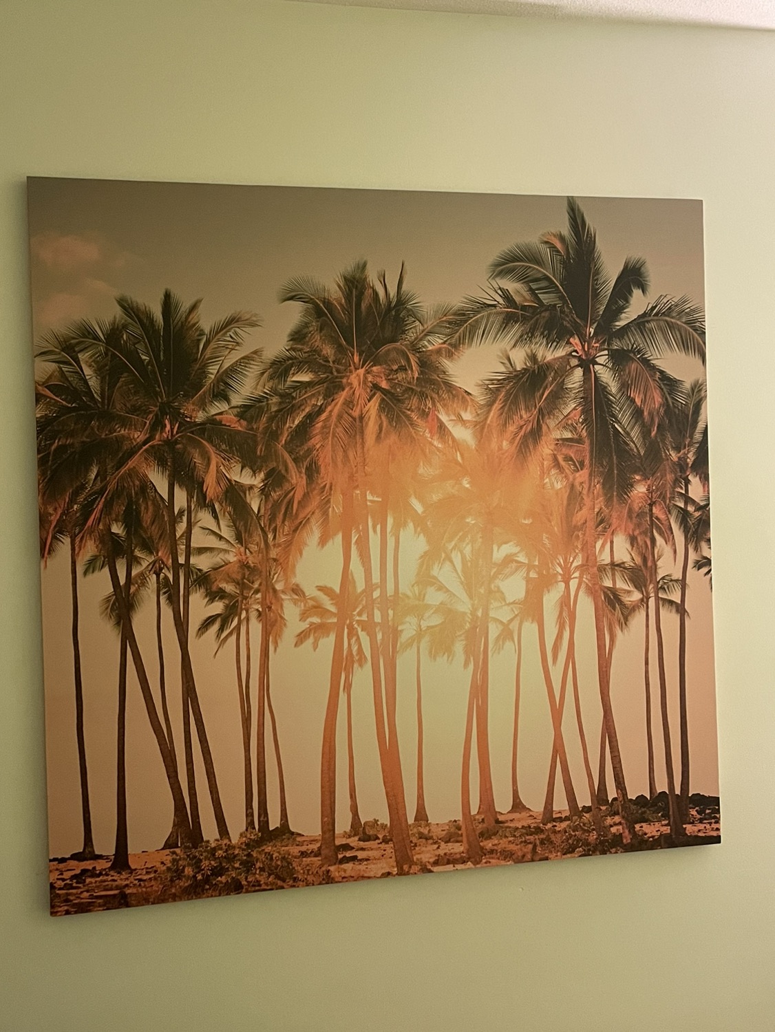 Large Canvas Print