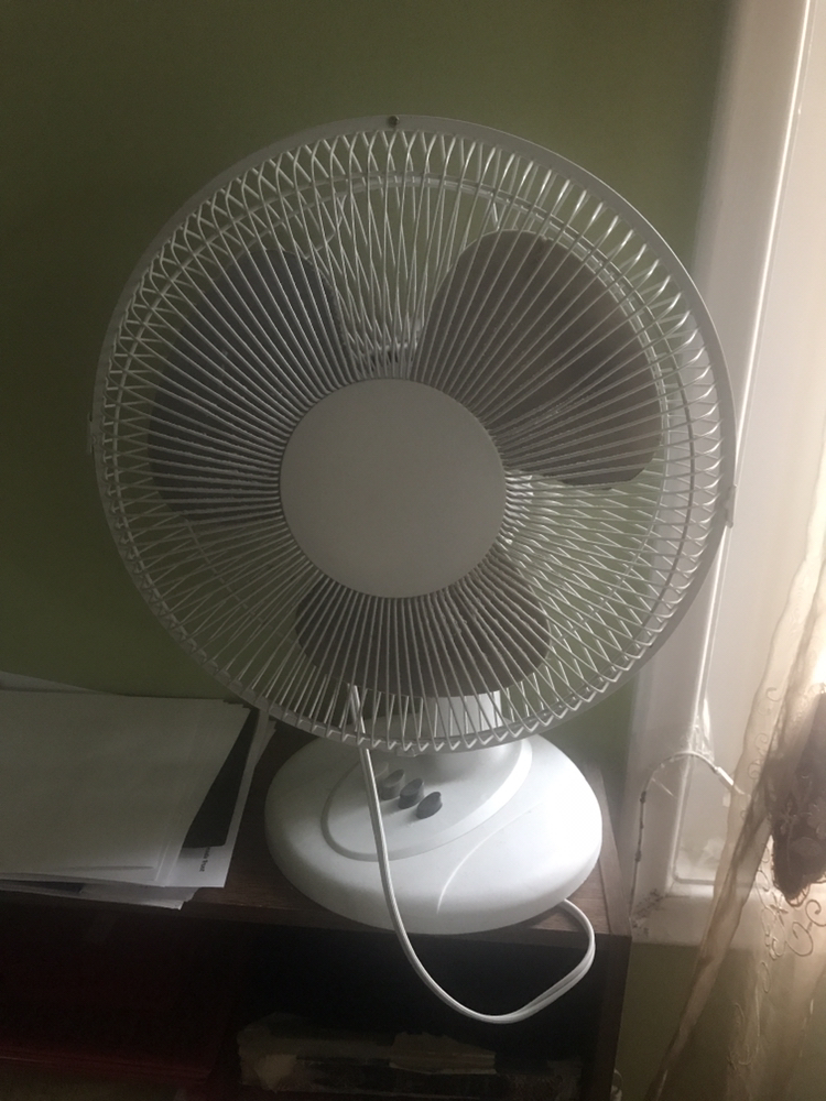 Fan