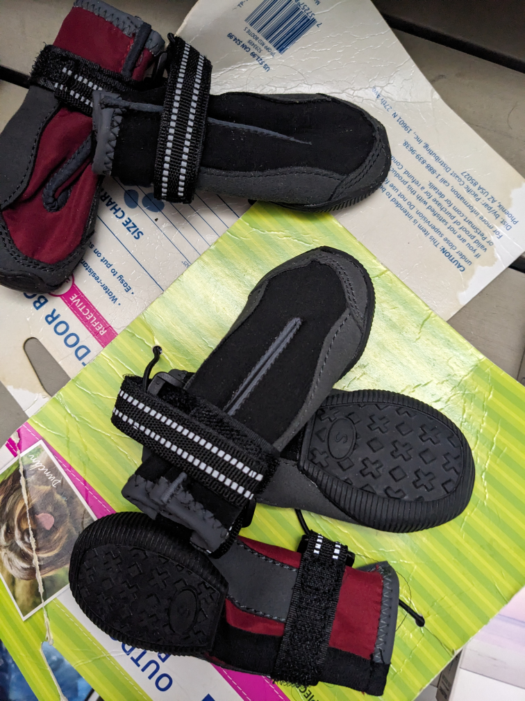 small dog boots brand new image indicator(3)