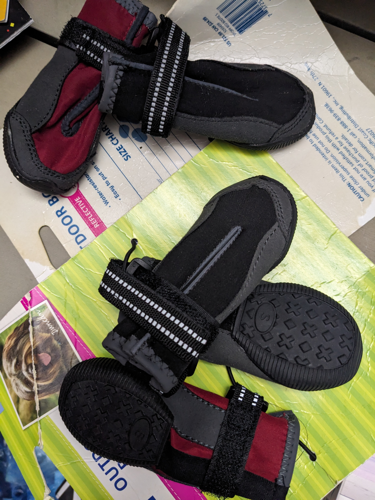 small dog boots brand new image indicator(4)