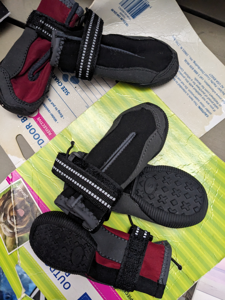 small dog boots brand new image indicator(5)