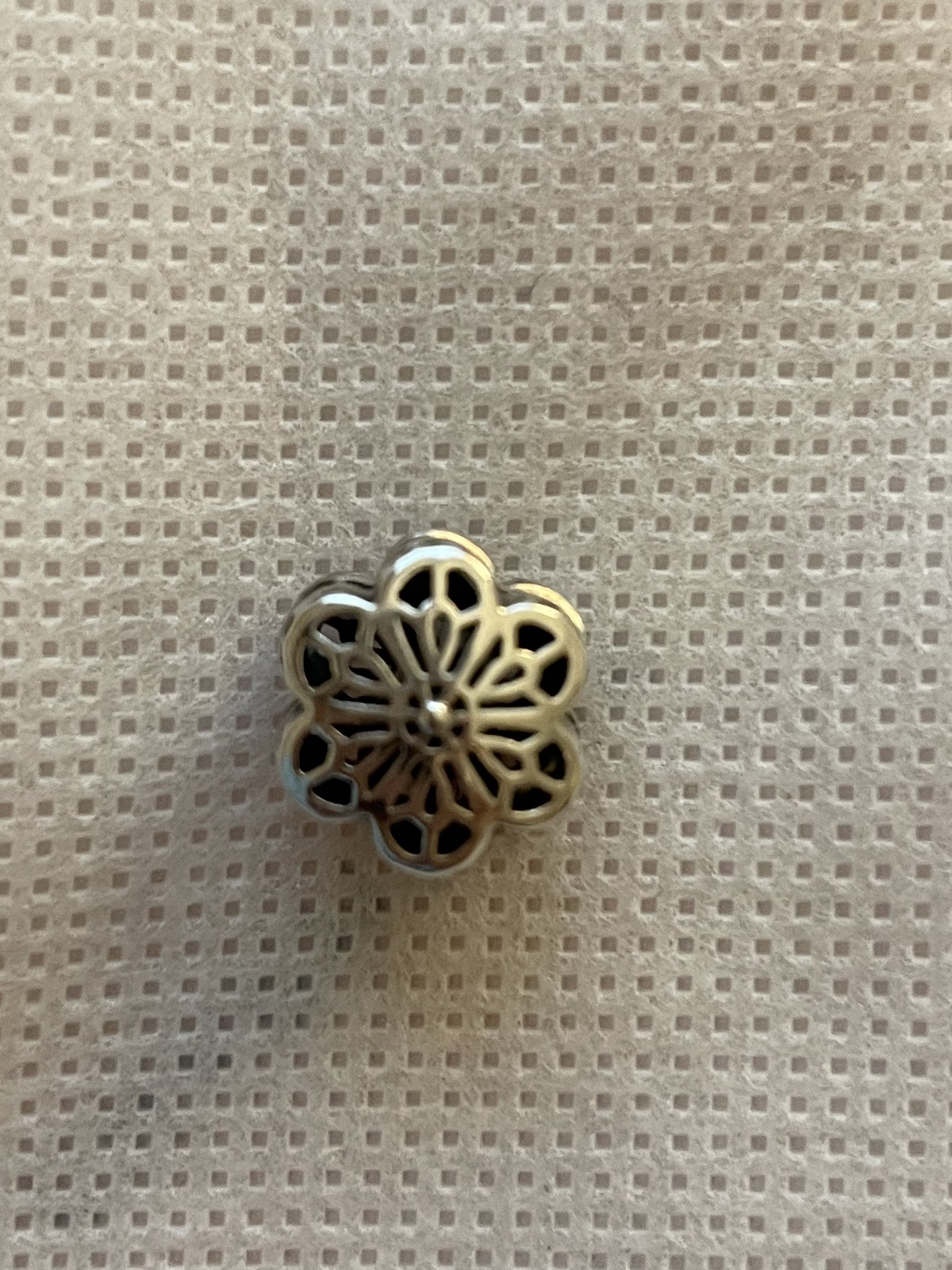 Pandora clip charm
