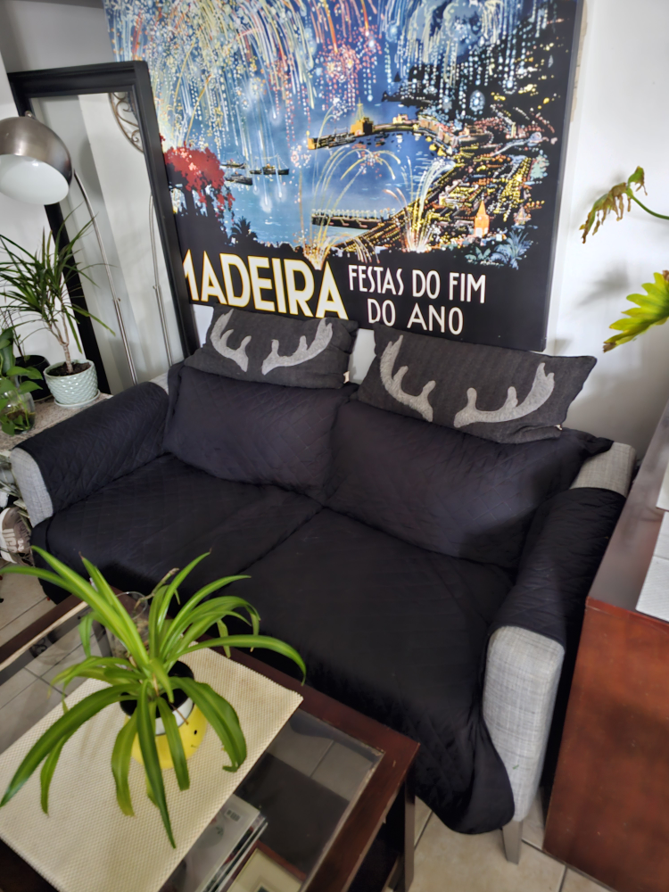2 seat couch thumbnail