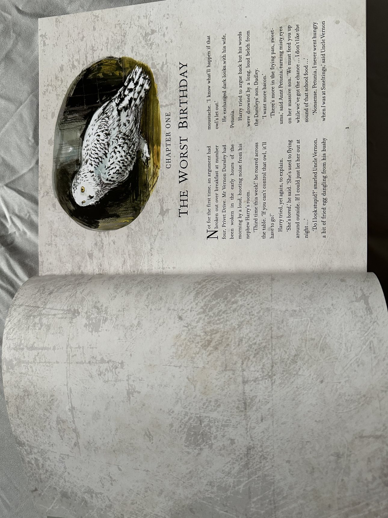 Harry Potter & The Chamber Of Secrets Illustrated Collector Ed. - photo 5