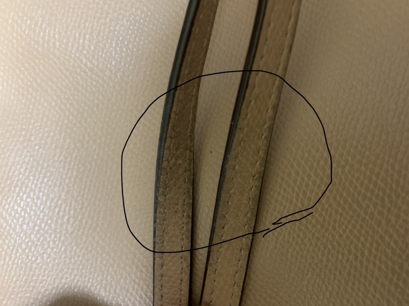 COACH TOTE BAG image indicator(2)