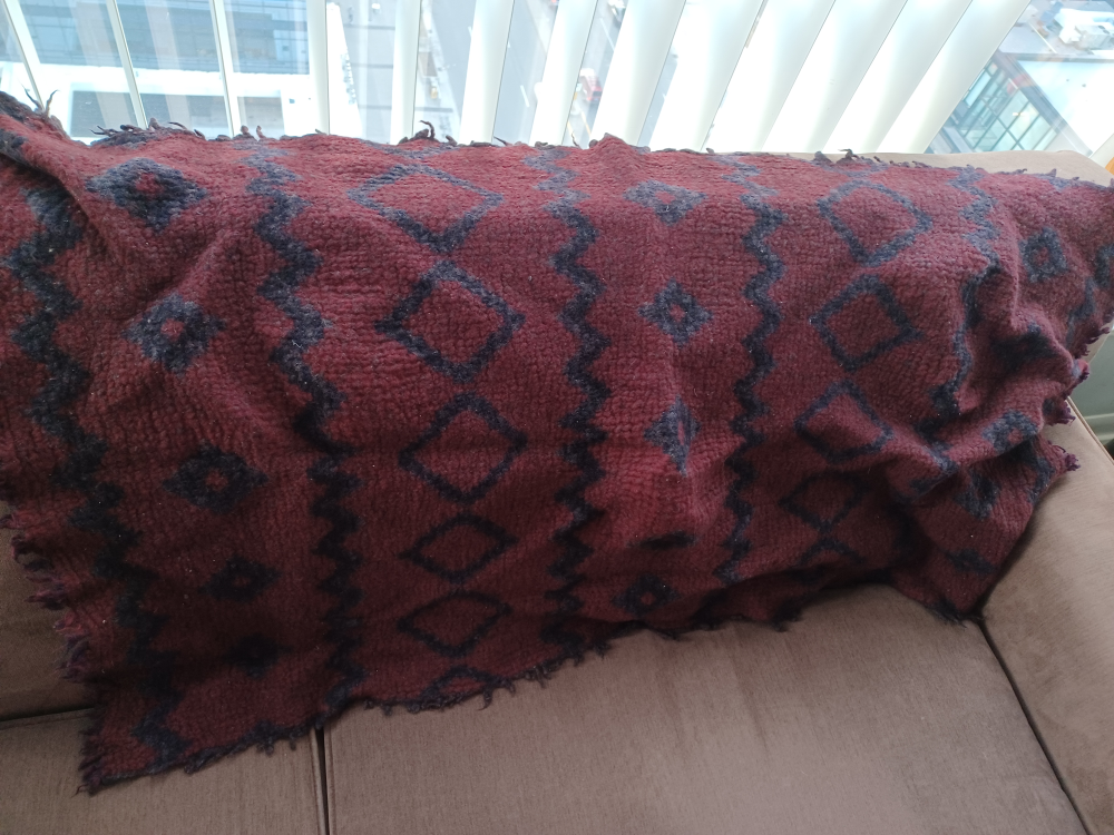 Aritzia Wilfred wool blanket scarf image indicator(2)