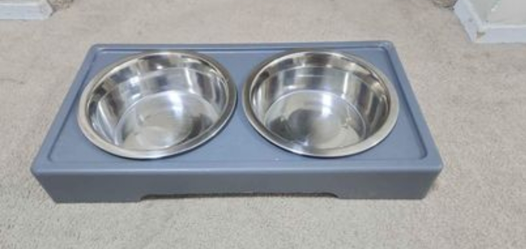 Dog Food Bowl