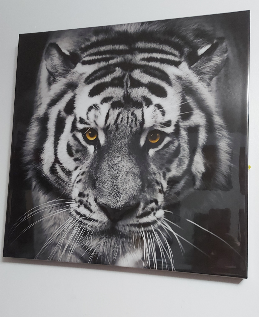 Tiger Wall Art Picture