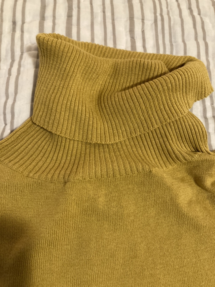 Max Mara Silk Knit Turtleneck S-M image indicator(2)