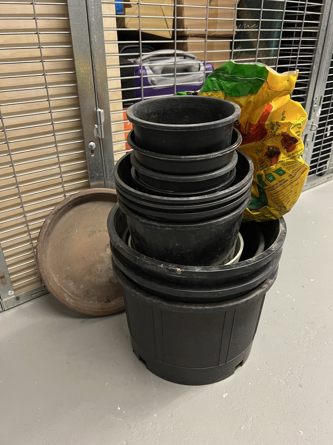 Various flower pots