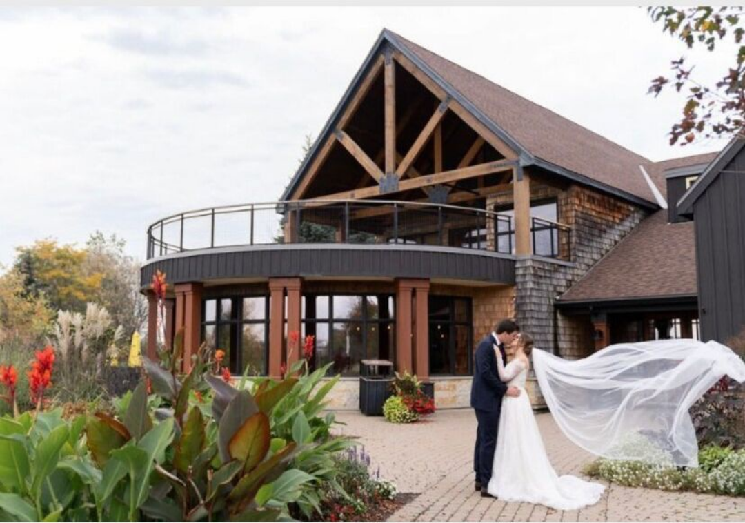 NEW Extra Long Cathedral Bridal Wedding Veil image indicator(3)