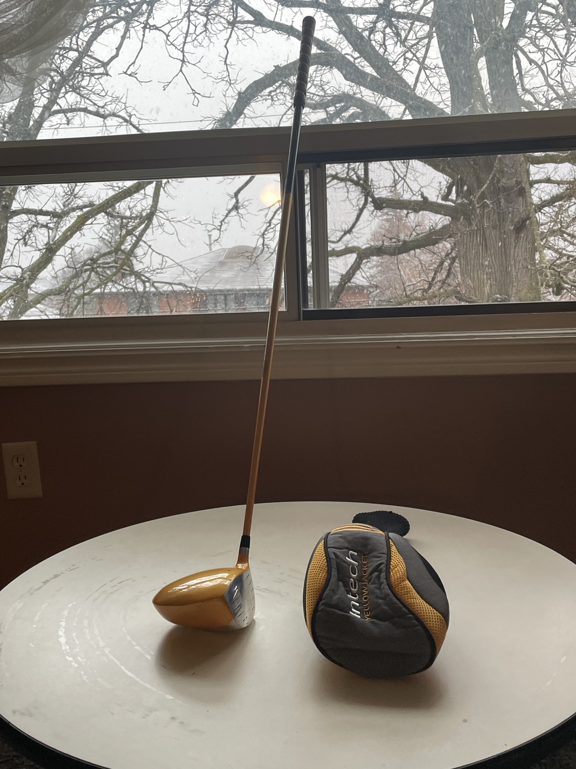 Golf club and boot - photo 2