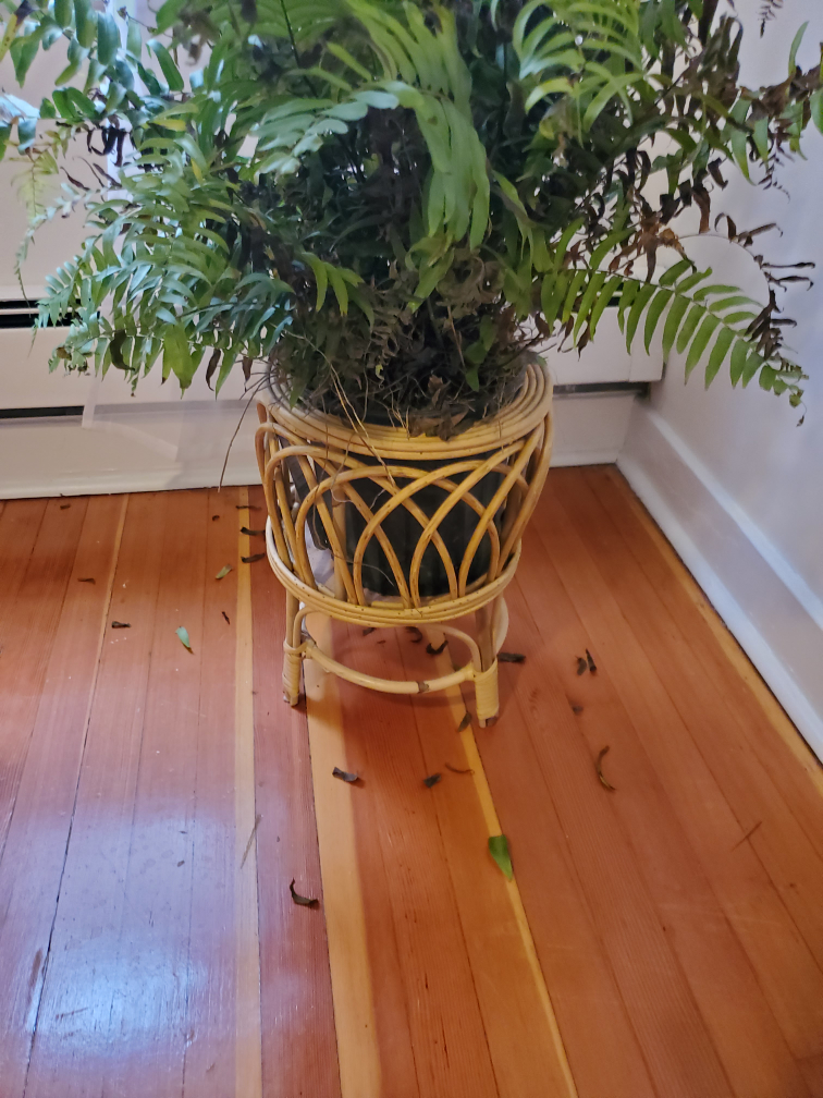 boho , bamboo plant stand