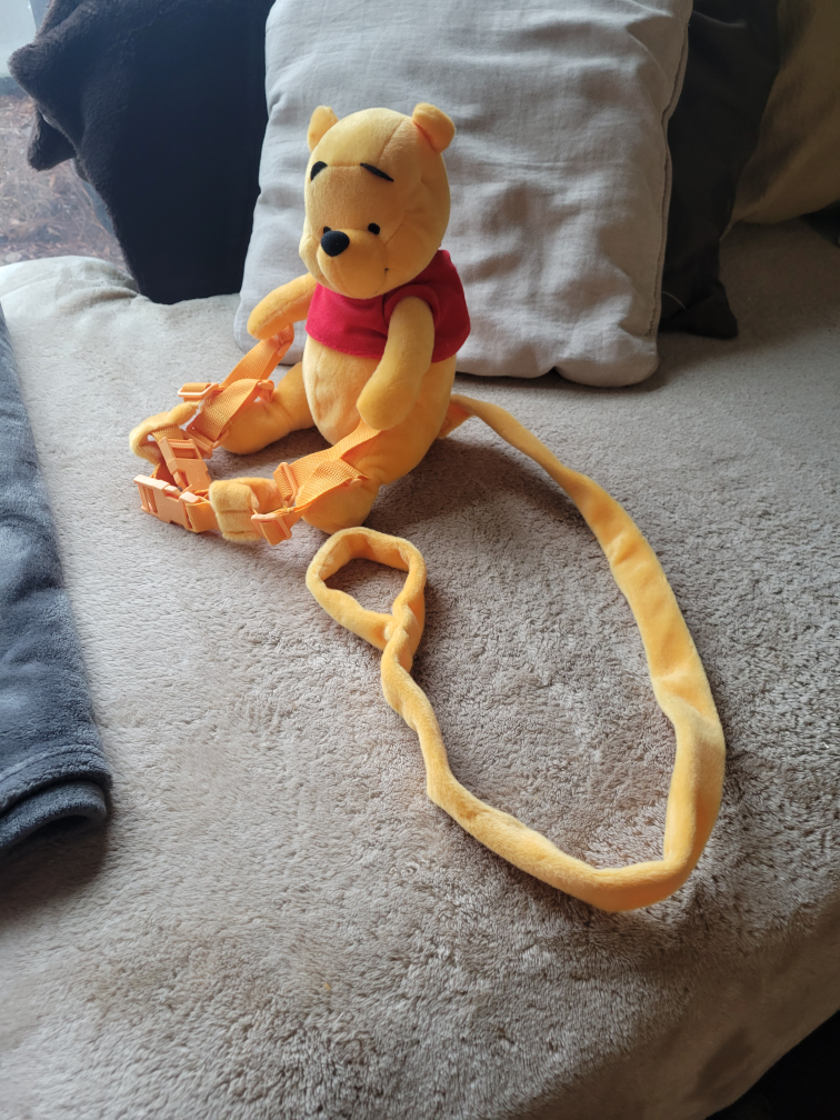 Winnie the Pooh toddler lead image indicator(2)