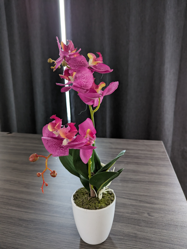 artificial orchid plant