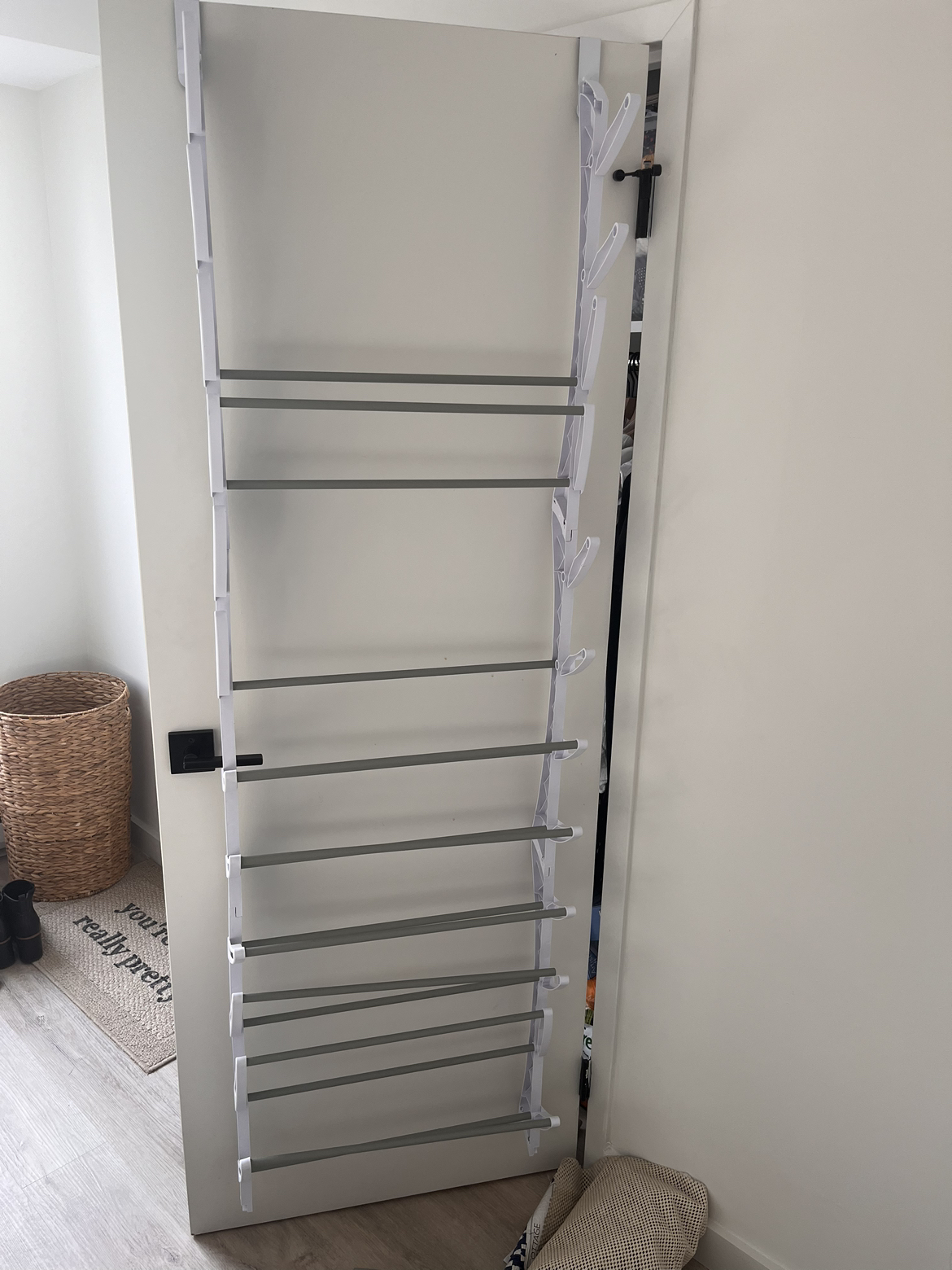 Shoe Organizer