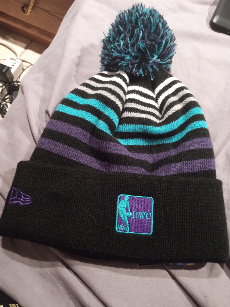 BRAND NEW UNWORN WINTER HAT $20 image indicator(3)