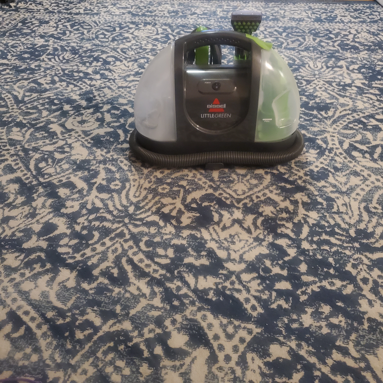Carpet Cleaner