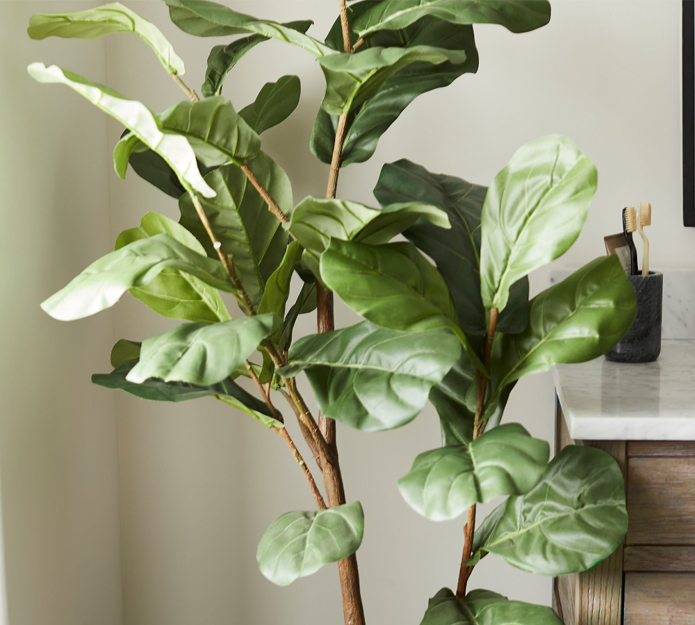 Pottery Barn Artificial Fig Tree image indicator(5)