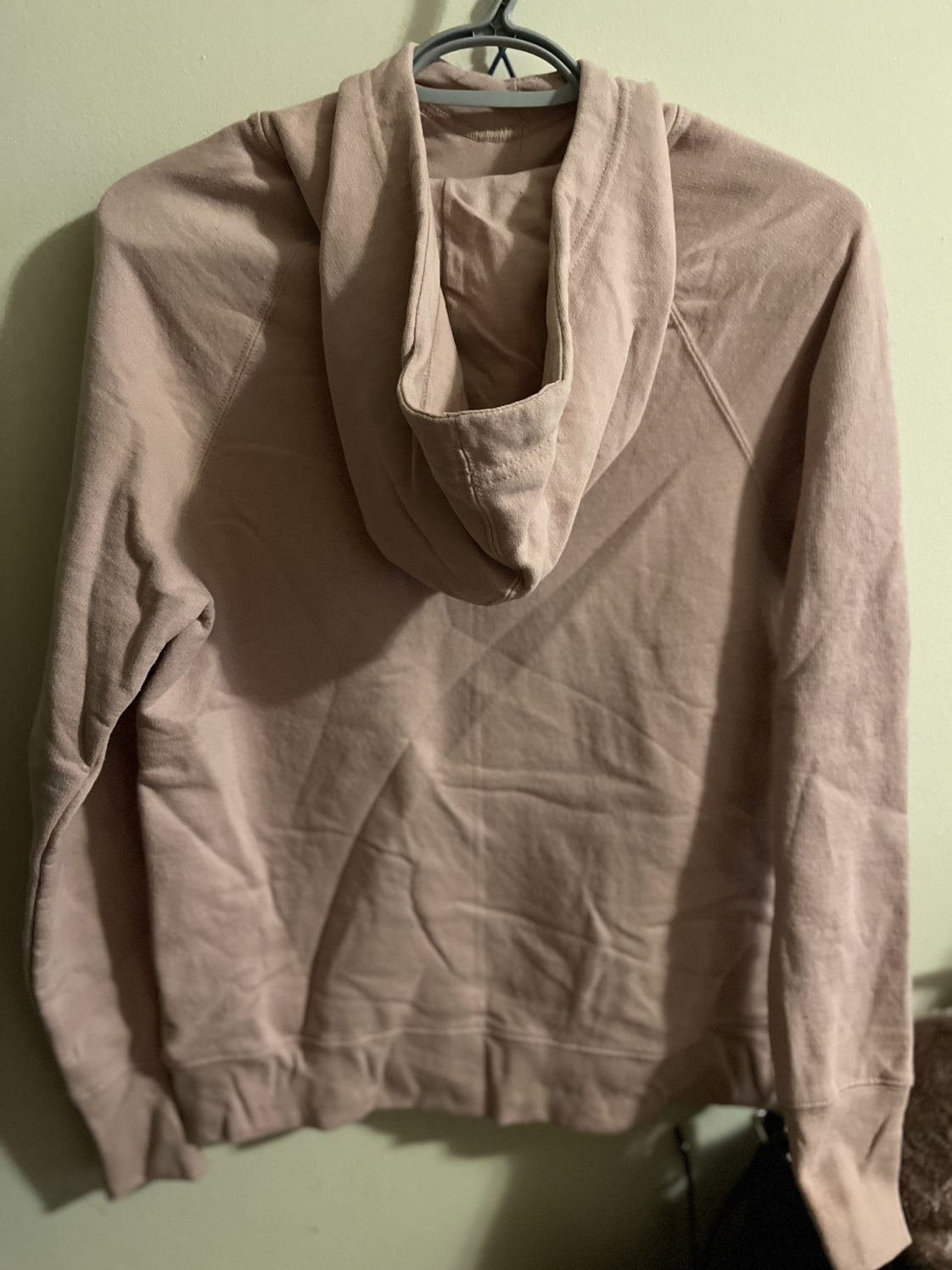 Champion hoodie image indicator(3)