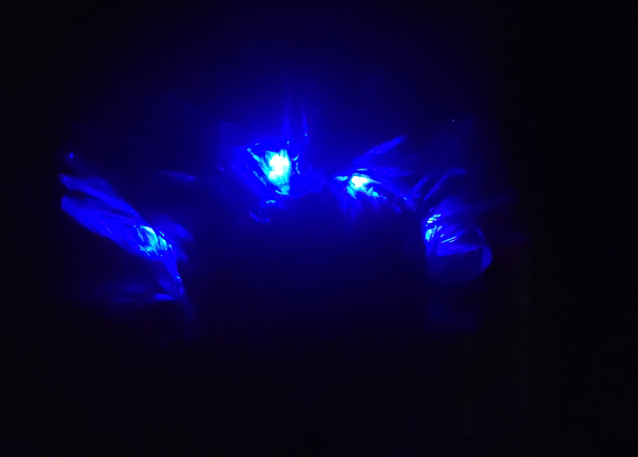 Flashing Mohawk image indicator(10)