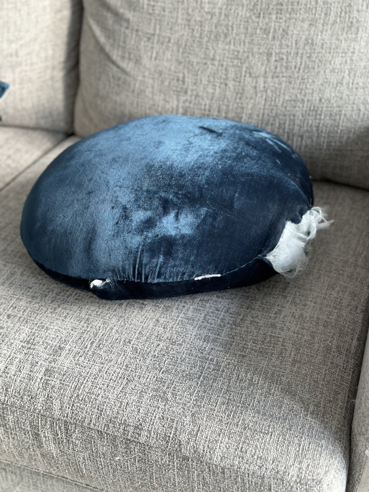 3 Blue Pillows from West Elm #freecycle - photo 3
