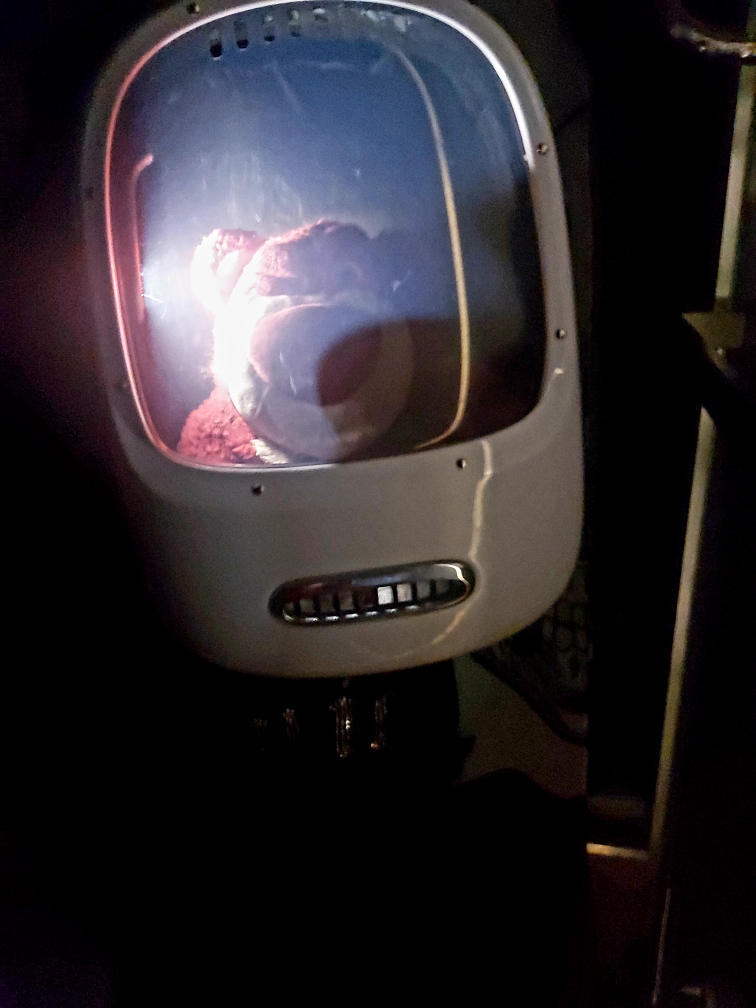 SDGH light up pet travel backpack image indicator(8)