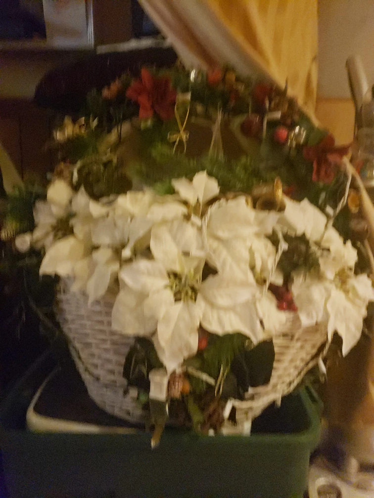 Christmas basket off lights - photo 3
