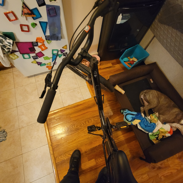 specialized low cut 3.0