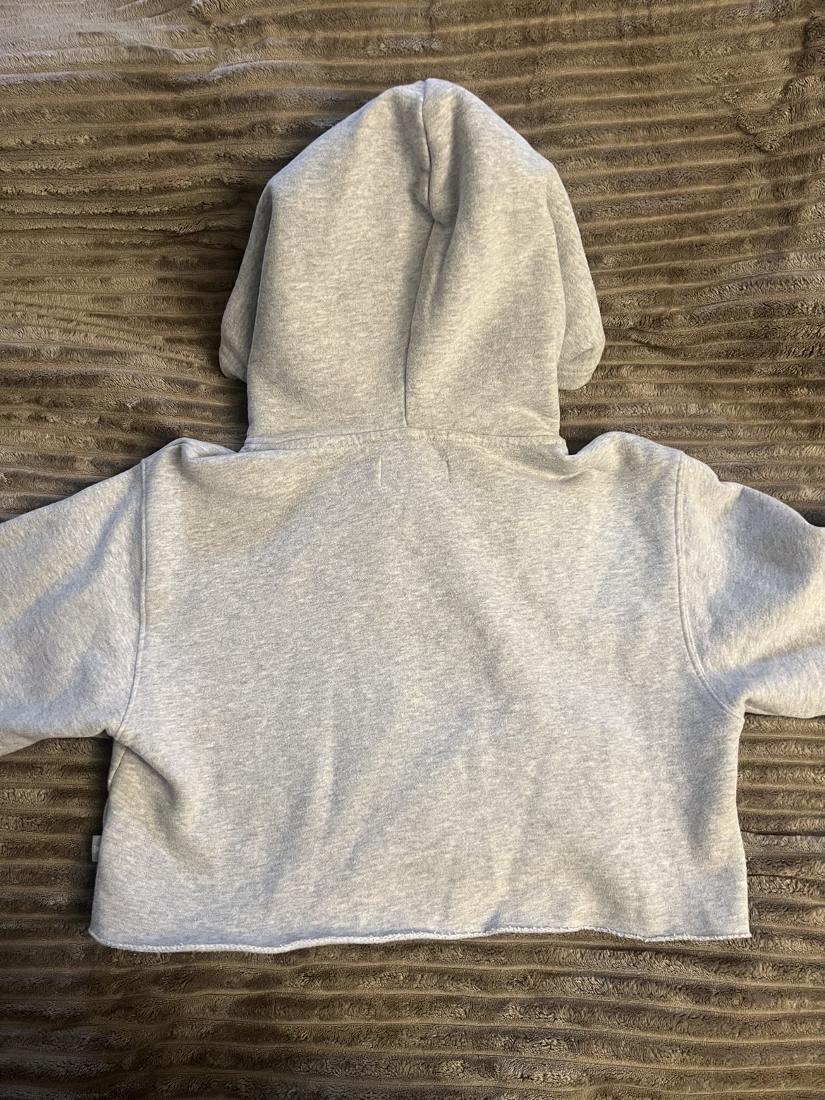 Aritzia TNA Perfect Cropped Hoodie XS image indicator(2)