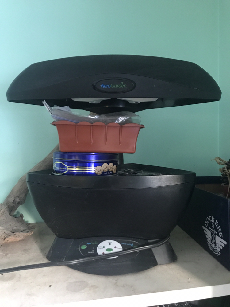 Aero garden- countertop hydroponics