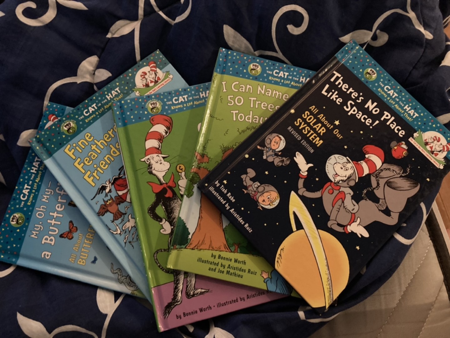 Cat in the hat books