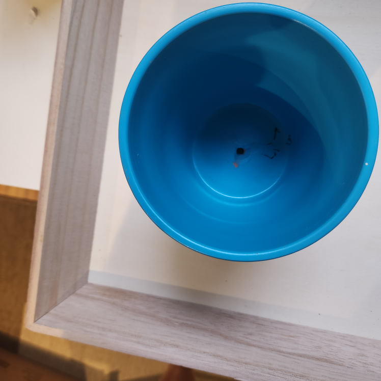 blue plant vase image indicator(4)