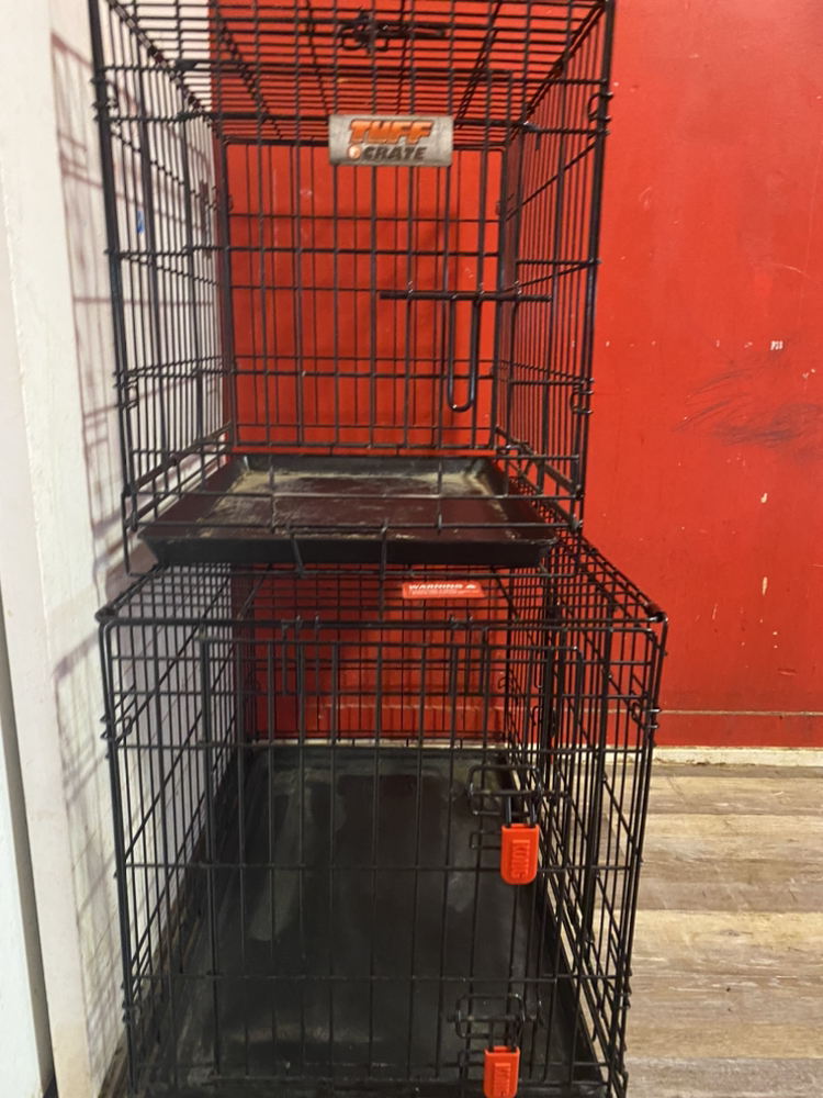 Dog cages thumbnail