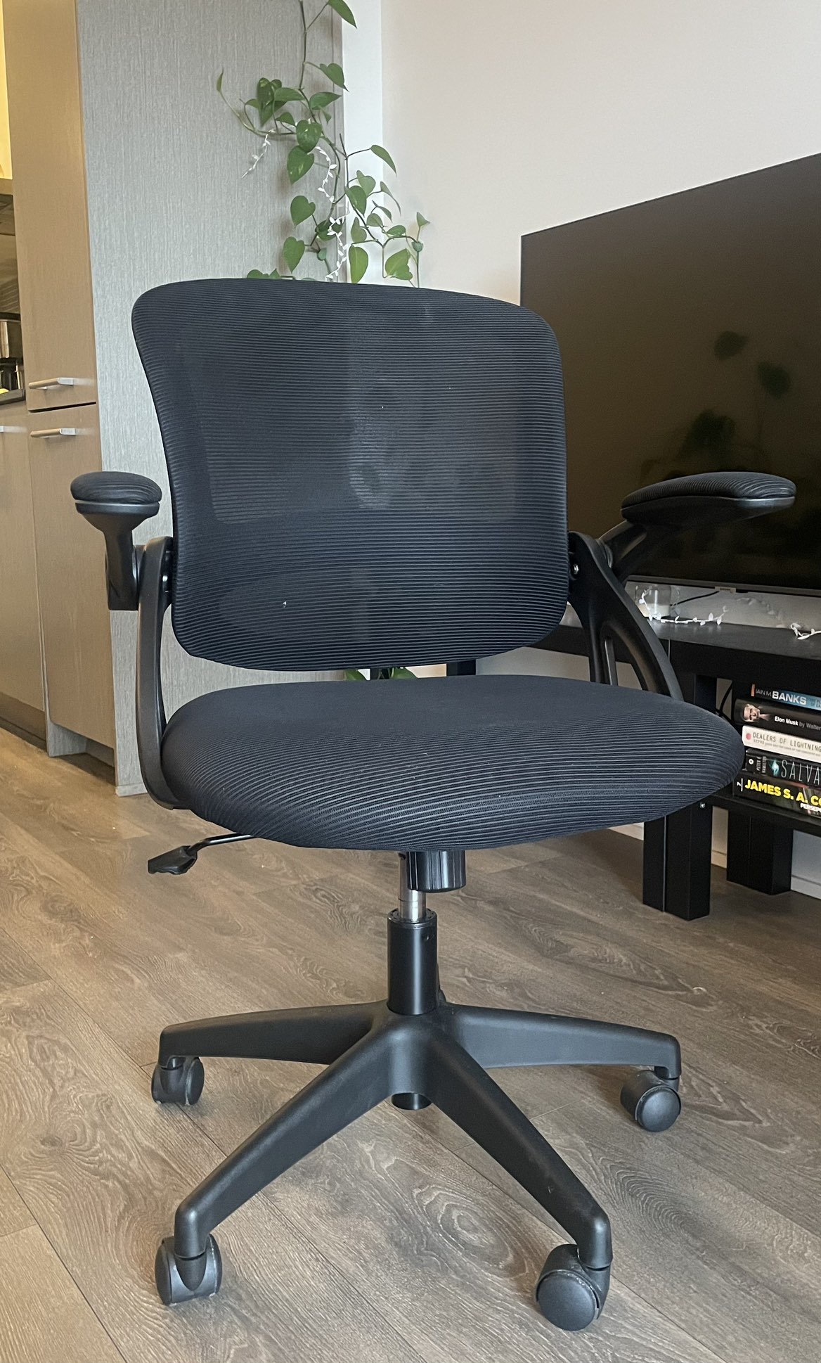 Ergonomic Office Chair