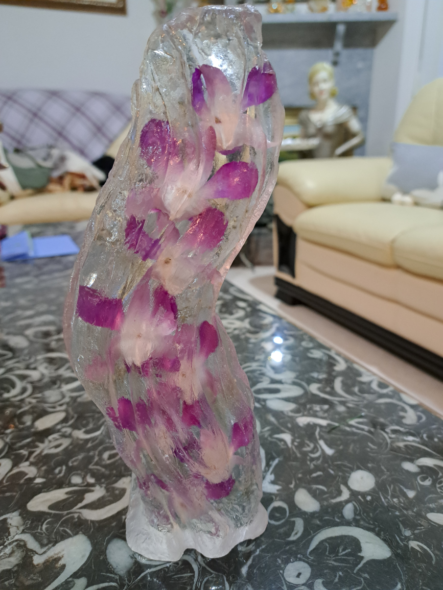 real orchids flowers inside image indicator(2)