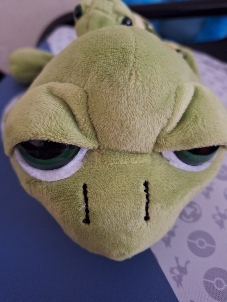 Aruba Parent and Baby Turtle Plush #freecycle image indicator(3)