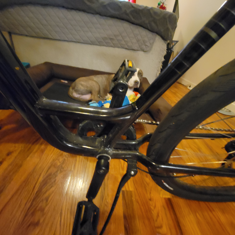 specialized low cut 3.0 - photo 3
