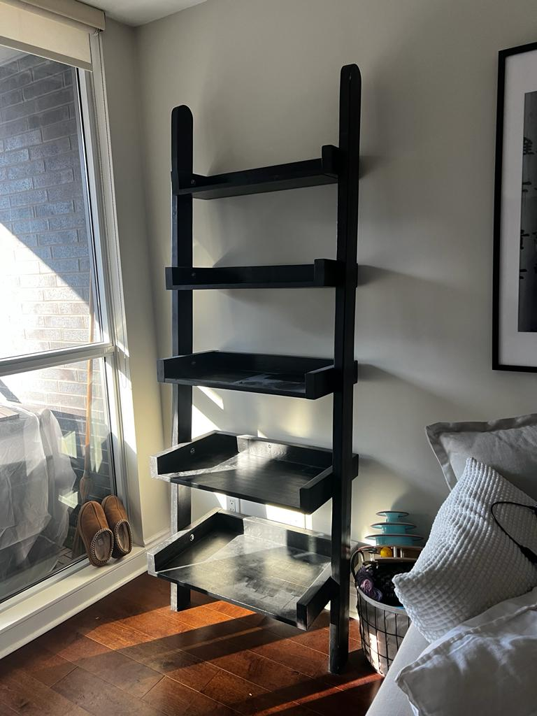 Selling ladder-style bookshelf $100