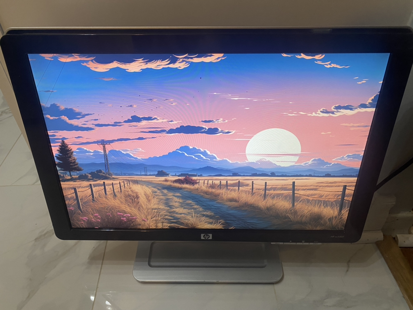 20 inch HP w2007 1680x1050 monitor