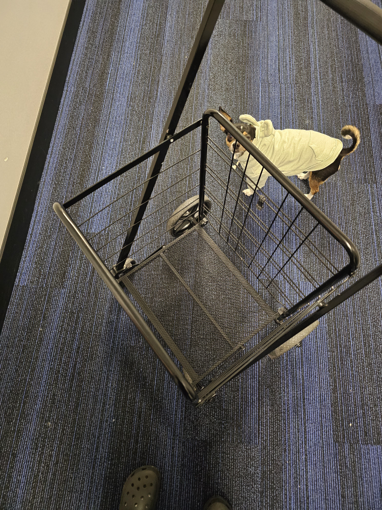 foldable shopping cart