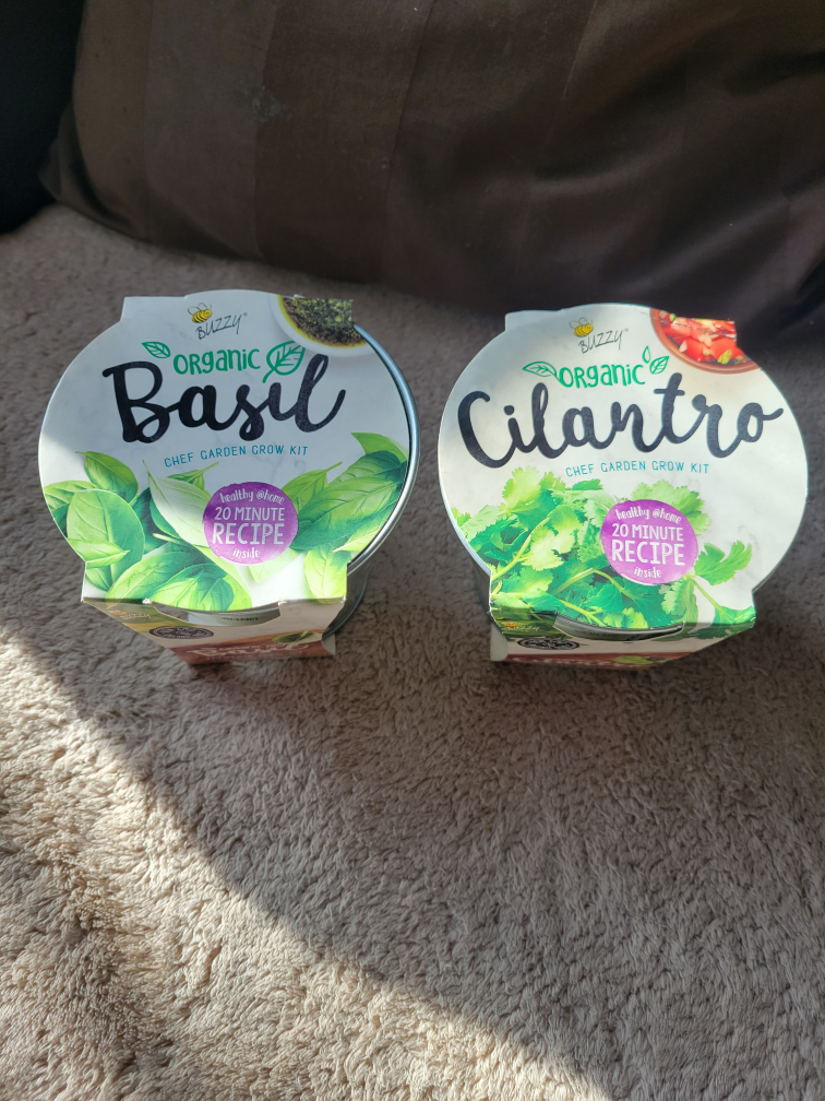 #SellingSpree 🥕 Basil & Cilantro grow kits image indicator(2)