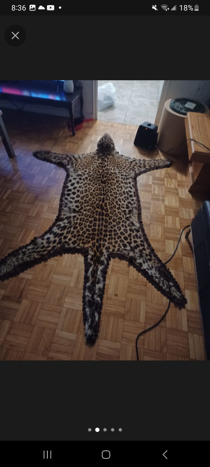 Leopard skin rug image indicator(2)