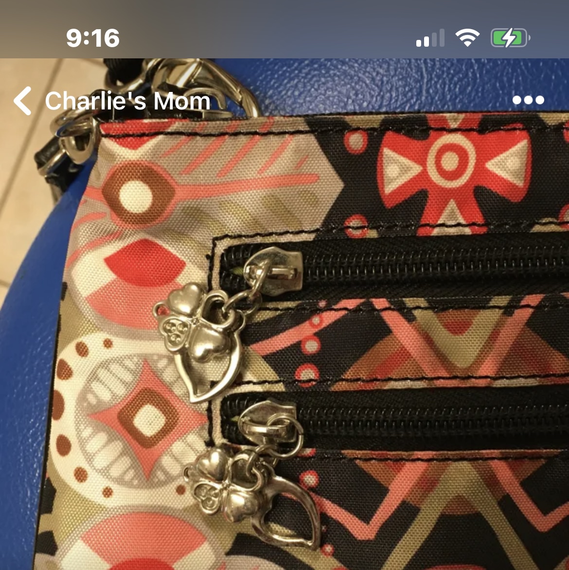 ✨✨Joanel Cross Body Bag image indicator(3)