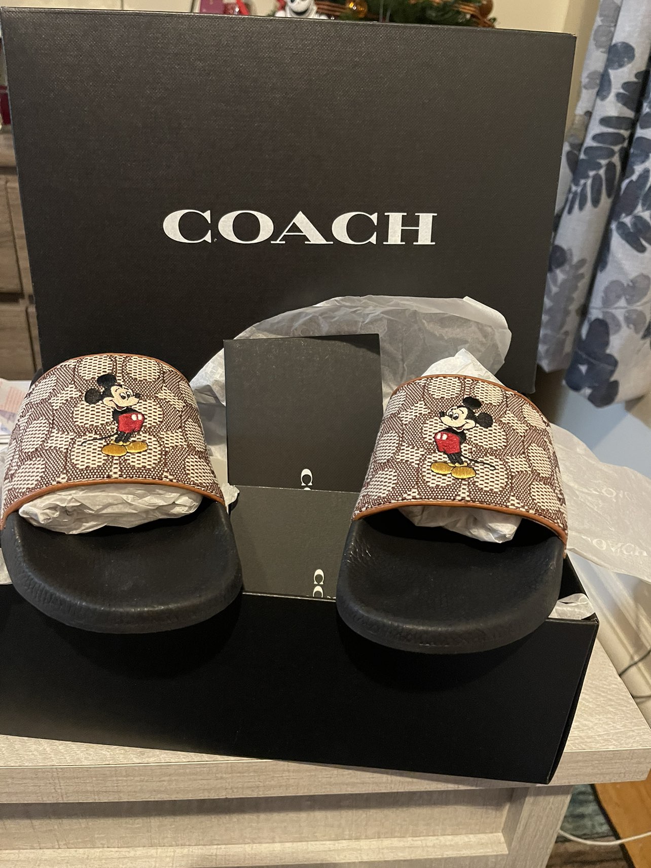 Coach Disney slip ons