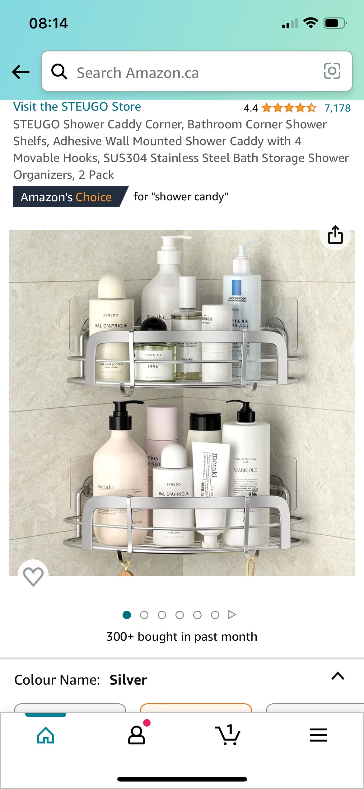Shower caddy -pair - silver