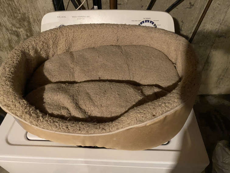 Free small cat or dog bed 🎁 thumbnail